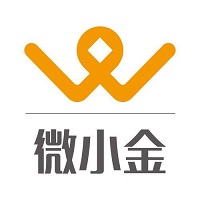 微小金金服